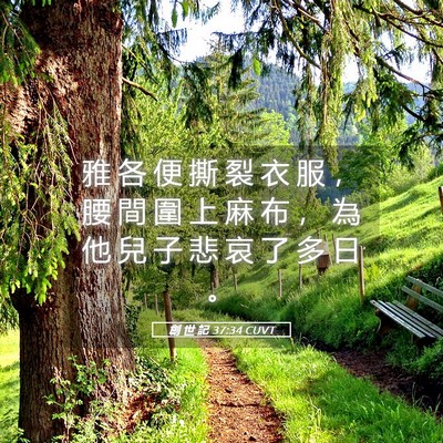 Picture 05 - 創 世 記 37:34 CUVT - 雅 各 便 撕 裂 衣 服 ， 腰 間 圍 上 - Bible Verse Picture