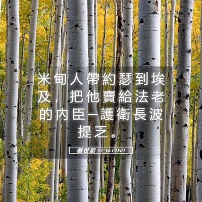 Picture 05 - 創 世 記 37:36 CUVT - 米 甸 人 帶 約 瑟 到 埃 及 ， 把 他 - Bible Verse Picture