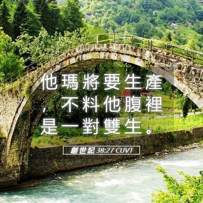 Picture 05 - 創 世 記 38:27 CUVT - 他 瑪 將 要 生 產 ， 不 料 他 腹 裡 - Bible Verse Picture