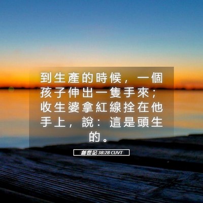 Picture 05 - 創 世 記 38:28 CUVT - 到 生 產 的 時 候 ， 一 個 孩 子 伸 - Bible Verse Picture