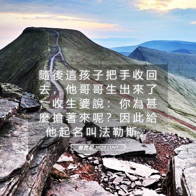 Picture 05 - 創 世 記 38:29 CUVT - 隨 後 這 孩 子 把 手 收 回 去 ， 他 - Bible Verse Picture