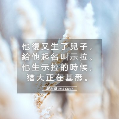Picture 05 - 創 世 記 38:5 CUVT - 他 復 又 生 了 兒 子 ， 給 他 起 名 - Bible Verse Picture