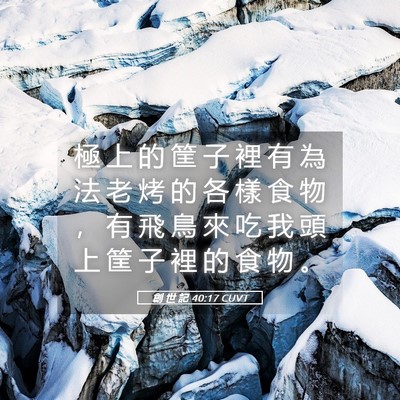 Picture 05 - 創 世 記 40:17 CUVT - 極 上 的 筐 子 裡 有 為 法 老 烤 的 - Bible Verse Picture