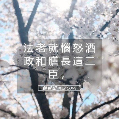 Picture 05 - 創 世 記 40:2 CUVT - 法 老 就 惱 怒 酒 政 和 膳 長 這 二 - Bible Verse Picture