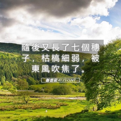 Picture 05 - 創 世 記 41:23 CUVT - 隨 後 又 長 了 七 個 穗 子 ， 枯 槁 - Bible Verse Picture
