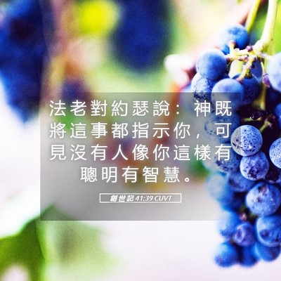 Picture 05 - 創 世 記 41:39 CUVT - 法 老 對 約 瑟 說 ： 神 既 將 這 事 - Bible Verse Picture