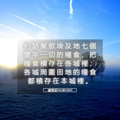 Picture 05 - 創 世 記 41:48 CUVT - 約 瑟 聚 歛 埃 及 地 七 個 豐 年 一 - Bible Verse Picture