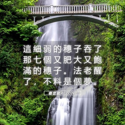 Picture 05 - 創 世 記 41:7 CUVT - 這 細 弱 的 穗 子 吞 了 那 七 個 又 - Bible Verse Picture