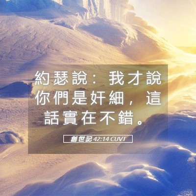 Picture 05 - 創 世 記 42:14 CUVT - 約 瑟 說 ： 我 才 說 你 們 是 奸 細 - Bible Verse Picture