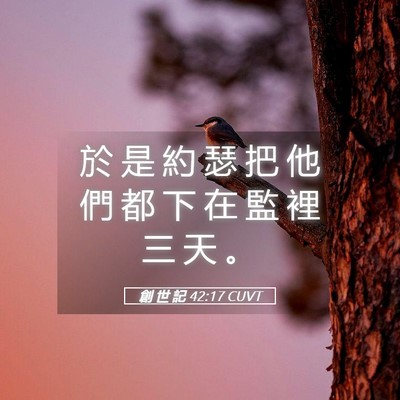 Picture 05 - 創 世 記 42:17 CUVT - 於 是 約 瑟 把 他 們 都 下 在 監 裡 - Bible Verse Picture