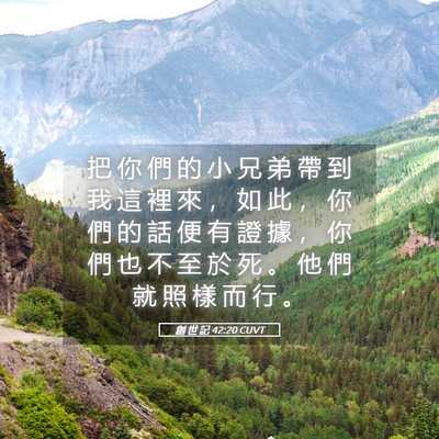 Picture 05 - 創 世 記 42:20 CUVT - 把 你 們 的 小 兄 弟 帶 到 我 這 裡 - Bible Verse Picture