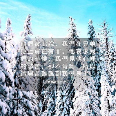 Picture 05 - 創 世 記 42:21 CUVT - 他 們 彼 此 說 ： 我 們 在 兄 弟 身 - Bible Verse Picture