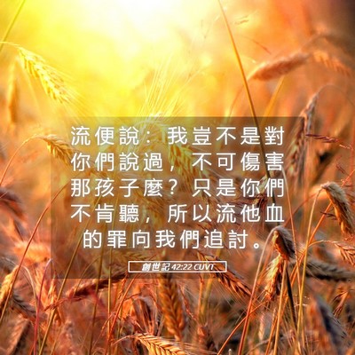 Picture 05 - 創 世 記 42:22 CUVT - 流 便 說 ： 我 豈 不 是 對 你 們 說 - Bible Verse Picture