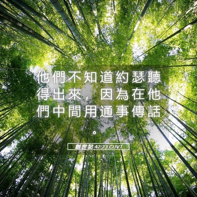 Picture 05 - 創 世 記 42:23 CUVT - 他 們 不 知 道 約 瑟 聽 得 出 來 ， - Bible Verse Picture
