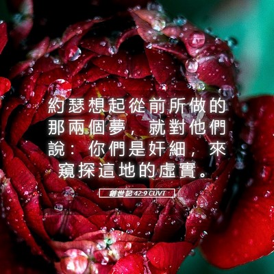 Picture 05 - 創 世 記 42:9 CUVT - 約 瑟 想 起 從 前 所 做 的 那 兩 個 - Bible Verse Picture