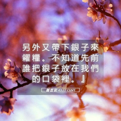Picture 05 - 創 世 記 43:22 CUVT - 另 外 又 帶 下 銀 子 來 糴 糧 。 不 - Bible Verse Picture
