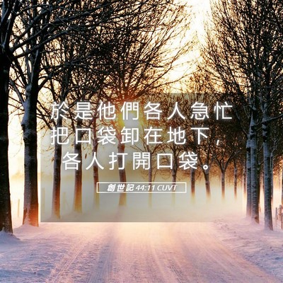 Picture 05 - 創 世 記 44:11 CUVT - 於 是 他 們 各 人 急 忙 把 口 袋 卸 - Bible Verse Picture