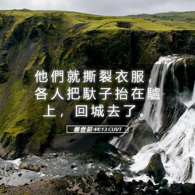 Picture 05 - 創 世 記 44:13 CUVT - 他 們 就 撕 裂 衣 服 ， 各 人 把 馱 - Bible Verse Picture