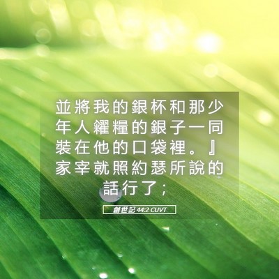 Picture 05 - 創 世 記 44:2 CUVT - 並 將 我 的 銀 杯 和 那 少 年 人 糴 - Bible Verse Picture