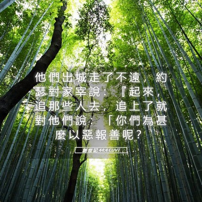 Picture 05 - 創 世 記 44:4 CUVT - 他 們 出 城 走 了 不 遠 ， 約 瑟 對 - Bible Verse Picture