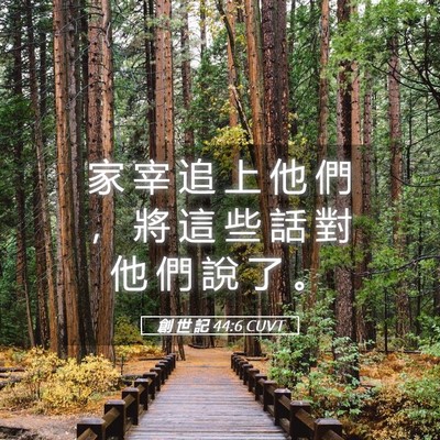 Picture 05 - 創 世 記 44:6 CUVT - 家 宰 追 上 他 們 ， 將 這 些 話 對 - Bible Verse Picture