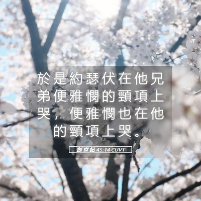 Picture 05 - 創 世 記 45:14 CUVT - 於 是 約 瑟 伏 在 他 兄 弟 便 雅 憫 - Bible Verse Picture