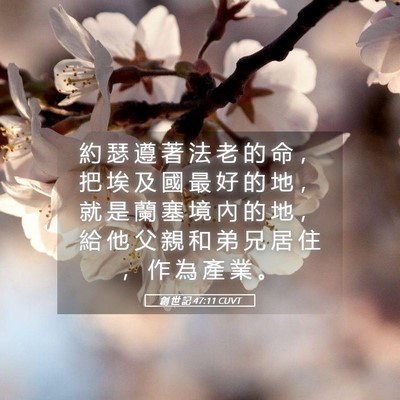 Picture 05 - 創 世 記 47:11 CUVT - 約 瑟 遵 著 法 老 的 命 ， 把 埃 及 - Bible Verse Picture