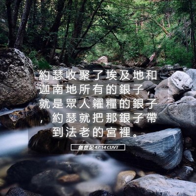 Picture 05 - 創 世 記 47:14 CUVT - 約 瑟 收 聚 了 埃 及 地 和 迦 南 地 - Bible Verse Picture
