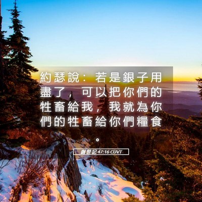 Picture 05 - 創 世 記 47:16 CUVT - 約 瑟 說 ： 若 是 銀 子 用 盡 了 ， - Bible Verse Picture