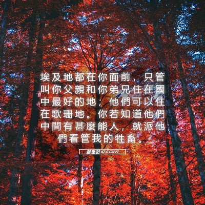 Picture 05 - 創 世 記 47:6 CUVT - 埃 及 地 都 在 你 面 前 ， 只 管 叫 - Bible Verse Picture