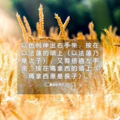 Picture 05 - 創 世 記 48:14 CUVT - 以 色 列 伸 出 右 手 來 ， 按 在 以 - Bible Verse Picture
