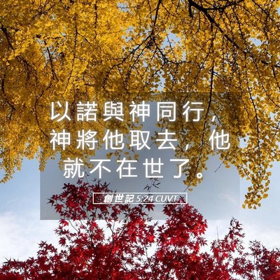 Picture 05 - 創 世 記 5:24 CUVT - 以 諾 與 神 同 行 ， 神 將 他 取 去 - Bible Verse Picture