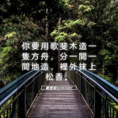 Picture 05 - 創 世 記 6:14 CUVT - 你 要 用 歌 斐 木 造 一 隻 方 舟 ， - Bible Verse Picture