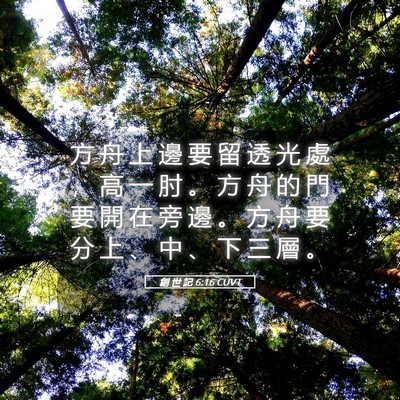 Picture 05 - 創 世 記 6:16 CUVT - 方 舟 上 邊 要 留 透 光 處 ， 高 一 - Bible Verse Picture