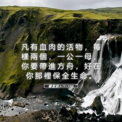 Picture 05 - 創 世 記 6:19 CUVT - 凡 有 血 肉 的 活 物 ， 每 樣 兩 個 - Bible Verse Picture