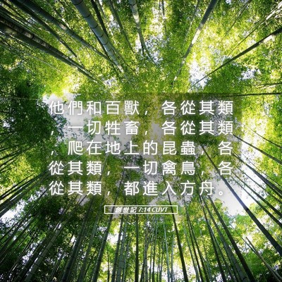 Picture 05 - 創 世 記 7:14 CUVT - 他 們 和 百 獸 ， 各 從 其 類 ， 一 - Bible Verse Picture