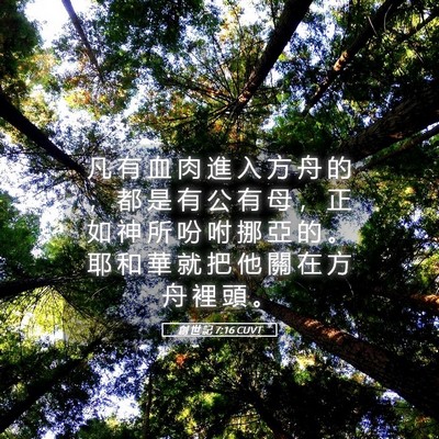 Picture 05 - 創 世 記 7:16 CUVT - 凡 有 血 肉 進 入 方 舟 的 ， 都 是 - Bible Verse Picture