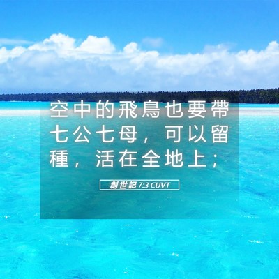 Picture 05 - 創 世 記 7:3 CUVT - 空 中 的 飛 鳥 也 要 帶 七 公 七 母 - Bible Verse Picture