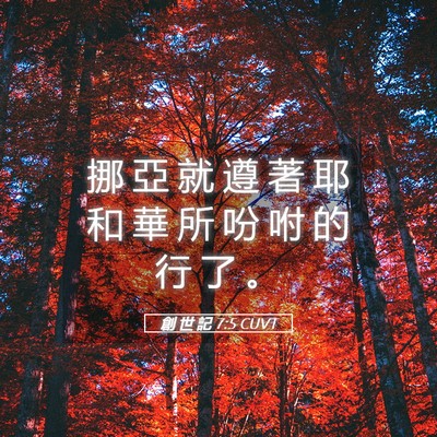 Picture 05 - 創 世 記 7:5 CUVT - 挪 亞 就 遵 著 耶 和 華 所 吩 咐 的 - Bible Verse Picture