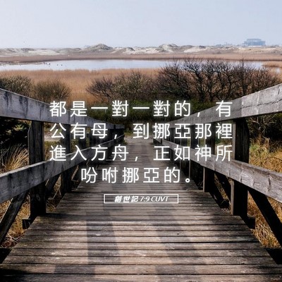 Picture 05 - 創 世 記 7:9 CUVT - 都 是 一 對 一 對 的 ， 有 公 有 母 - Bible Verse Picture