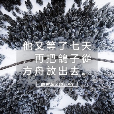 Picture 05 - 創 世 記 8:10 CUVT - 他 又 等 了 七 天 ， 再 把 鴿 子 從 - Bible Verse Picture