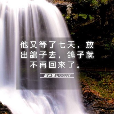 Picture 05 - 創 世 記 8:12 CUVT - 他 又 等 了 七 天 ， 放 出 鴿 子 去 - Bible Verse Picture
