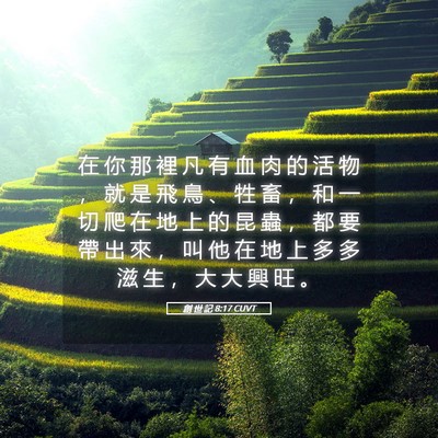 Picture 05 - 創 世 記 8:17 CUVT - 在 你 那 裡 凡 有 血 肉 的 活 物 ， - Bible Verse Picture
