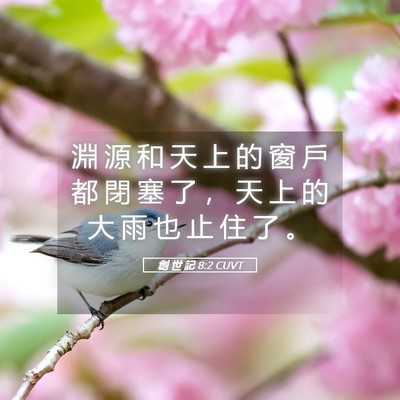 Picture 05 - 創 世 記 8:2 CUVT - 淵 源 和 天 上 的 窗 戶 都 閉 塞 了 - Bible Verse Picture