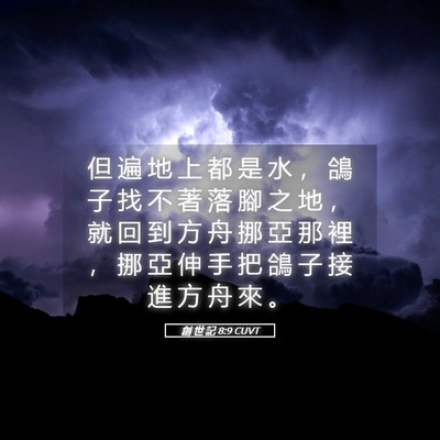 Picture 05 - 創 世 記 8:9 CUVT - 但 遍 地 上 都 是 水 ， 鴿 子 找 不 - Bible Verse Picture