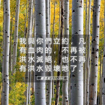 Picture 05 - 創 世 記 9:11 CUVT - 我 與 你 們 立 約 ， 凡 有 血 肉 的 - Bible Verse Picture