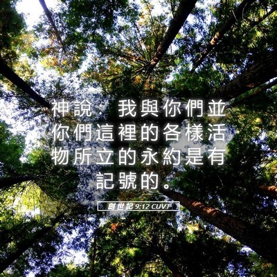 Picture 05 - 創 世 記 9:12 CUVT - 神 說 ： 我 與 你 們 並 你 們 這 裡 - Bible Verse Picture