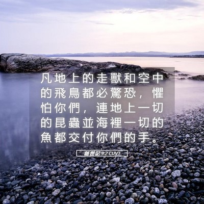 Picture 05 - 創 世 記 9:2 CUVT - 凡 地 上 的 走 獸 和 空 中 的 飛 鳥 - Bible Verse Picture