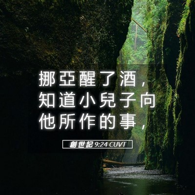 Picture 05 - 創 世 記 9:24 CUVT - 挪 亞 醒 了 酒 ， 知 道 小 兒 子 向 - Bible Verse Picture