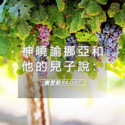 Picture 05 - 創 世 記 9:8 CUVT - 神 曉 諭 挪 亞 和 他 的 兒 子 說 - Bible Verse Picture